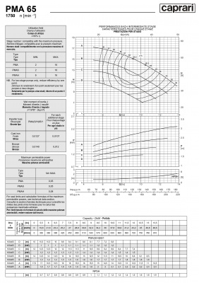 Горизонтальные многоступенчатые насосы высокого давления Caprari PMA 65 1750 Горизонтальные многоступенчатые насосы высокого давления Caprari PMA 65 1750