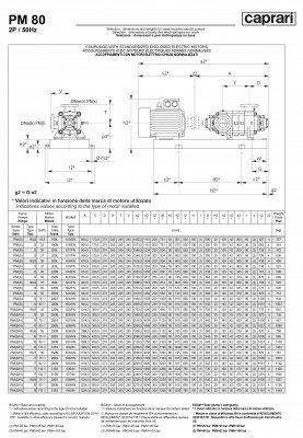 Горизонтальные многоступенчатые насосы высокого давления Caprari PM 80 3500 Горизонтальные многоступенчатые насосы высокого давления Caprari PM 80 3500