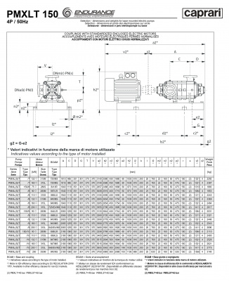 Горизонтальные секционные насосы высокого давления Caprari PMXLT 150 2200 из нержавеющей стали Горизонтальные секционные насосы высокого давления Caprari PMXLT 150 2200 из нержавеющей стали