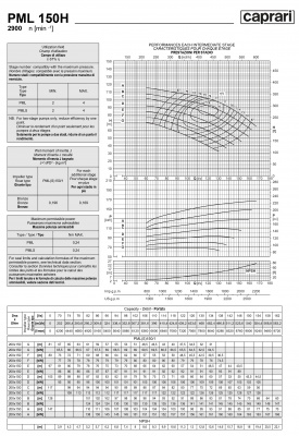 Горизонтальные многоступенчатые насосы высокого давления Caprari PML 150H 2900 Горизонтальные многоступенчатые насосы высокого давления Caprari PML 150H 2900