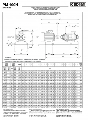Горизонтальные многоступенчатые насосы высокого давления Caprari PM 100 2200 Горизонтальные многоступенчатые насосы высокого давления Caprari PM 100 2200
