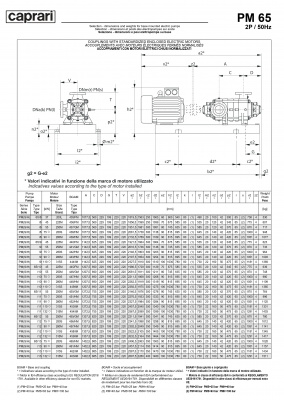 Горизонтальные многоступенчатые насосы высокого давления Caprari PM 65 2000 Горизонтальные многоступенчатые насосы высокого давления Caprari PM 65 2000