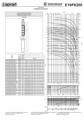 Скважинные насосы Caprari E10PX200 из нержавеющей стали Скважинные насосы Caprari E10PX200 из нержавеющей стали