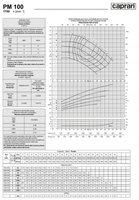 Горизонтальные многоступенчатые насосы высокого давления Caprari PM 100 1750 Горизонтальные многоступенчатые насосы высокого давления Caprari PM 100 1750