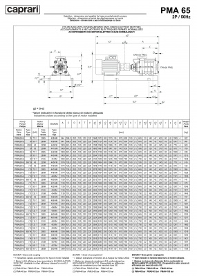 Горизонтальные многоступенчатые насосы высокого давления Caprari PMA 65 2900 Горизонтальные многоступенчатые насосы высокого давления Caprari PMA 65 2900