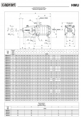 Горизонтальные секционные насосы высокого давления Caprari NMU 1750 Горизонтальные секционные насосы высокого давления Caprari NMU 1750