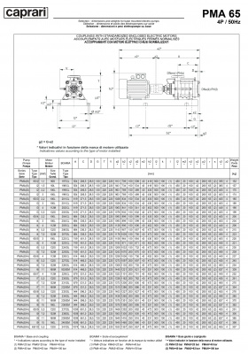 Горизонтальные многоступенчатые насосы высокого давления Caprari PMA 65 1450 Горизонтальные многоступенчатые насосы высокого давления Caprari PMA 65 1450