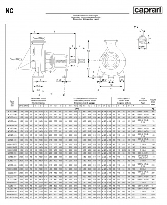 Одноступенчатые горизонтальные центробежные насосы Caprari NC 100-200 2900 Одноступенчатые горизонтальные центробежные насосы Caprari NC 100-200 2900