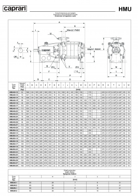 Горизонтальные секционные насосы высокого давления Caprari NMU 3500 Горизонтальные секционные насосы высокого давления Caprari NMU 3500