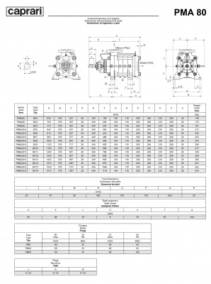 Горизонтальные многоступенчатые насосы высокого давления Caprari PMA 80 2900 Горизонтальные многоступенчатые насосы высокого давления Caprari PMA 80 2900