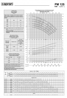 Горизонтальные многоступенчатые насосы высокого давления Caprari PM 125 1450 Горизонтальные многоступенчатые насосы высокого давления Caprari PM 125 1450