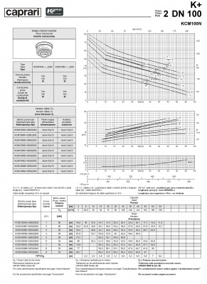Погружные канализационные элктронасосы Caprari KCM100N Погружные канализационные элктронасосы Caprari KCM100N