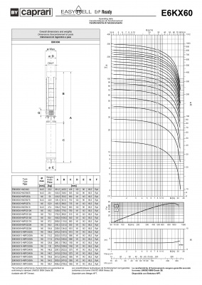 Скважинные насосы Caprari E6KX60 из нержавеющей стали Скважинные насосы Caprari E6KX60 из нержавеющей стали