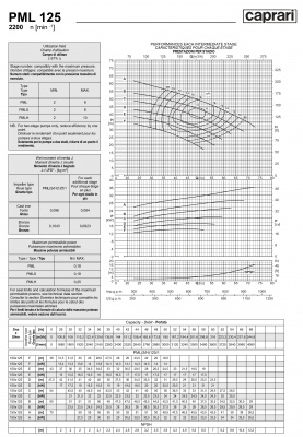 Горизонтальные многоступенчатые насосы высокого давления Caprari PML 125 2200 Горизонтальные многоступенчатые насосы высокого давления Caprari PML 125 2200