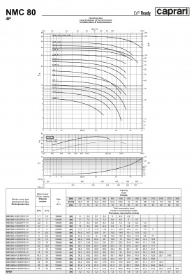Поверхностные одноступенчатые консольно-моноблочные насосы Caprari NMC 80 4P