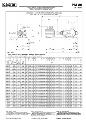 Горизонтальные многоступенчатые насосы высокого давления Caprari PM 80 2200 Горизонтальные многоступенчатые насосы высокого давления Caprari PM 80 2200