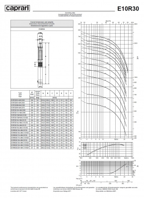 Скважинные насосы Caprari E10R30 из чугуна Скважинные насосы Caprari E10R30 из чугуна