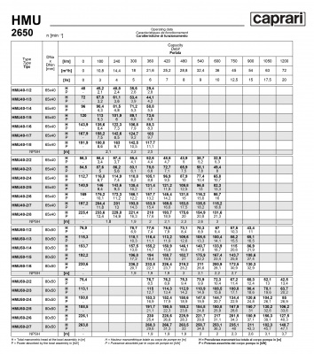 Горизонтальные секционные насосы высокого давления Caprari NMU 2650 Горизонтальные секционные насосы высокого давления Caprari NMU 2650