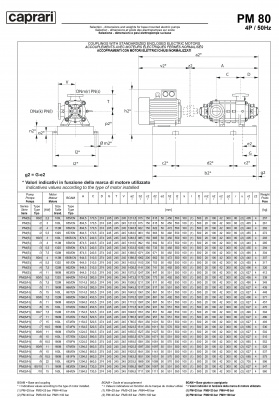 Горизонтальные многоступенчатые насосы высокого давления Caprari PM 80 2900 Горизонтальные многоступенчатые насосы высокого давления Caprari PM 80 2900