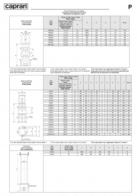 Вертикальные полупогружные насосы Caprari P12B Вертикальные полупогружные насосы Caprari P12B