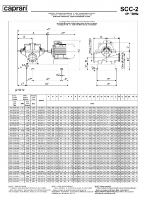 Горизонтальные насосы двустороннего входа Caprari SCC-2-100-250 1450 Горизонтальные насосы двустороннего входа Caprari SCC-2-100-250 1450