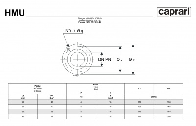 Горизонтальные секционные насосы высокого давления Caprari NMU 2000 Горизонтальные секционные насосы высокого давления Caprari NMU 2000