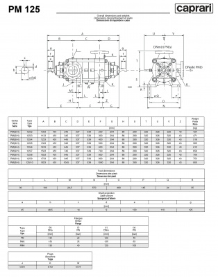 Горизонтальные многоступенчатые насосы высокого давления Caprari PM 125 1450 Горизонтальные многоступенчатые насосы высокого давления Caprari PM 125 1450