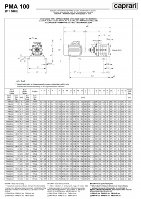 Горизонтальные многоступенчатые насосы высокого давления Caprari PMA 100 2900 Горизонтальные многоступенчатые насосы высокого давления Caprari PMA 100 2900