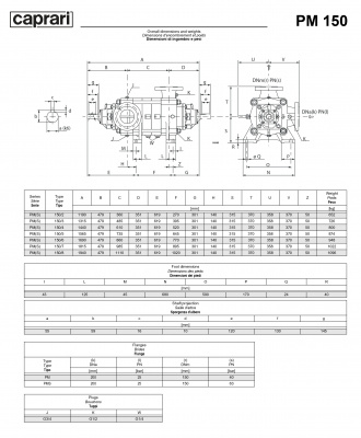 Горизонтальные многоступенчатые насосы высокого давления Caprari PM 150 1150 Горизонтальные многоступенчатые насосы высокого давления Caprari PM 150 1150