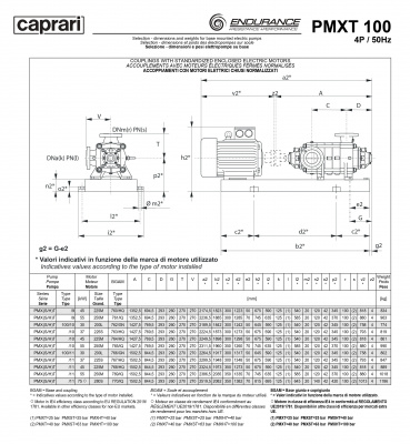 Горизонтальные секционные насосы высокого давления Caprari PMXT 100 1750 из нержавеющей стали Горизонтальные секционные насосы высокого давления Caprari PMXT 100 1750 из нержавеющей стали