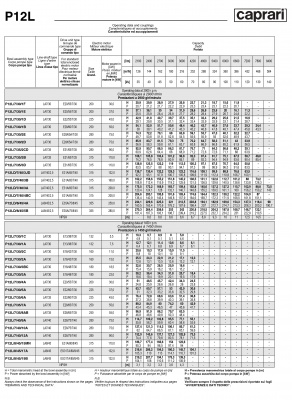Вертикальные полупогружные насосы Caprari P12L Вертикальные полупогружные насосы Caprari P12L