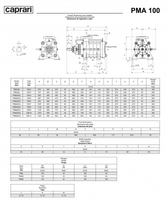 Горизонтальные многоступенчатые насосы высокого давления Caprari PMA 100 1750 Горизонтальные многоступенчатые насосы высокого давления Caprari PMA 100 1750