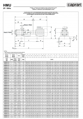 Горизонтальные секционные насосы высокого давления Caprari NMU 2650 Горизонтальные секционные насосы высокого давления Caprari NMU 2650