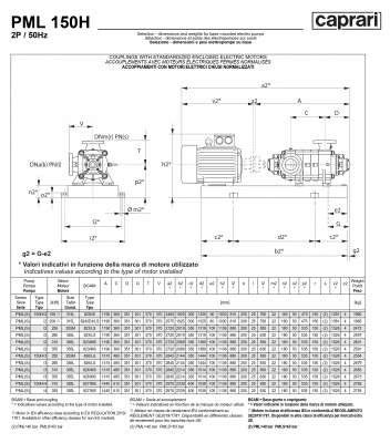 Горизонтальные многоступенчатые насосы высокого давления Caprari PML 150H 2900 Горизонтальные многоступенчатые насосы высокого давления Caprari PML 150H 2900