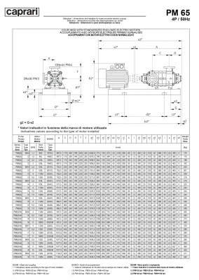 Горизонтальные многоступенчатые насосы высокого давления Caprari PM 65 3500 Горизонтальные многоступенчатые насосы высокого давления Caprari PM 65 3500