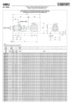 Горизонтальные секционные насосы высокого давления Caprari NMU 2900 Горизонтальные секционные насосы высокого давления Caprari NMU 2900