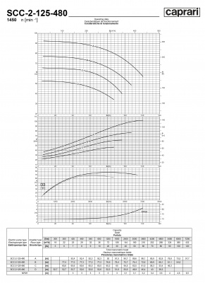 Горизонтальные насосы двустороннего входа Caprari SCC-2-125-480 1450 Горизонтальные насосы двустороннего входа Caprari SCC-2-125-480 1450