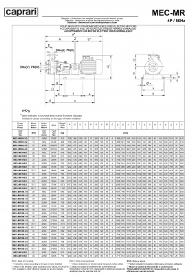 Горизонтальные многоступенчатые насосы Caprari MEC-MR 2200 Горизонтальные многоступенчатые насосы Caprari MEC-MR 2200