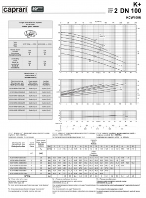 Погружные канализационные элктронасосы Caprari KCW100N Погружные канализационные элктронасосы Caprari KCW100N