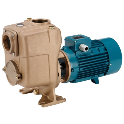 Поверхностный самовсасывающий одноступенчатый насос Calpeda B-AM 50-125CE Поверхностный самовсасывающий одноступенчатый насос Calpeda B-AM 50-125CE
