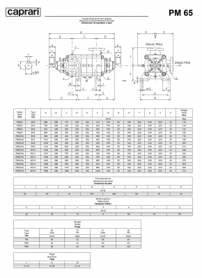 Горизонтальные многоступенчатые насосы высокого давления Caprari PM 65 1450 Горизонтальные многоступенчатые насосы высокого давления Caprari PM 65 1450