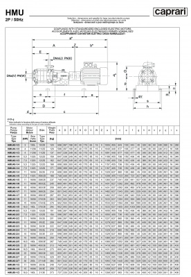 Горизонтальные секционные насосы высокого давления Caprari NMU 1450 Горизонтальные секционные насосы высокого давления Caprari NMU 1450