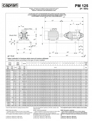 Горизонтальные многоступенчатые насосы высокого давления Caprari PM 125 2000 Горизонтальные многоступенчатые насосы высокого давления Caprari PM 125 2000