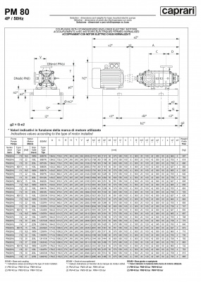 Горизонтальные многоступенчатые насосы высокого давления Caprari PM 80 2000 Горизонтальные многоступенчатые насосы высокого давления Caprari PM 80 2000