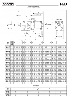 Горизонтальные секционные насосы высокого давления Caprari NMU 2000 Горизонтальные секционные насосы высокого давления Caprari NMU 2000