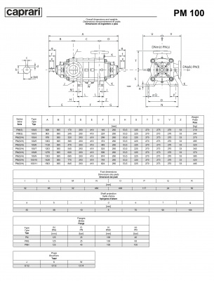 Горизонтальные многоступенчатые насосы высокого давления Caprari PM 100H 3500 Горизонтальные многоступенчатые насосы высокого давления Caprari PM 100H 3500