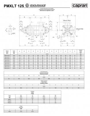 Горизонтальные секционные насосы высокого давления Caprari PMXLT 125 1750 из нержавеющей стали Горизонтальные секционные насосы высокого давления Caprari PMXLT 125 1750 из нержавеющей стали