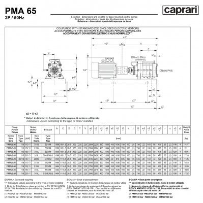 Горизонтальные многоступенчатые насосы высокого давления Caprari PMA 65 2900 Горизонтальные многоступенчатые насосы высокого давления Caprari PMA 65 2900