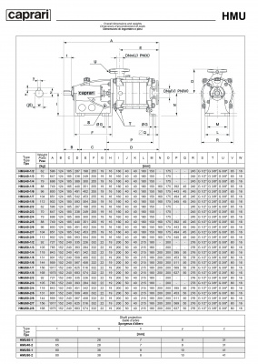 Горизонтальные секционные насосы высокого давления Caprari NMU 2200 Горизонтальные секционные насосы высокого давления Caprari NMU 2200