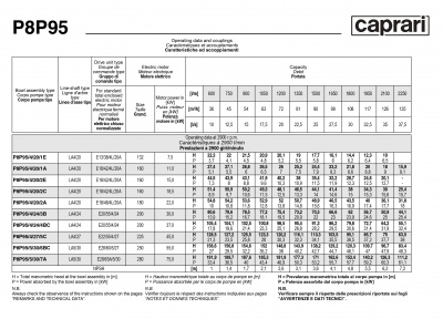 Вертикальные полупогружные насосы Caprari P8P95 Вертикальные полупогружные насосы Caprari P8P95
